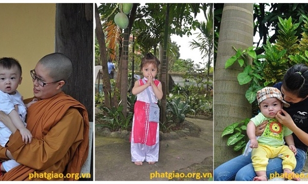 Hà Nội: Chùa Quán Tình làm Lễ tắm Phật, gieo duyên cho những vị Bụt tương lai