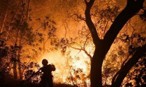 Cháy rừng ở California, Hoa Kỳ đe dọa nhiều cơ sở tự viện Phật giáo