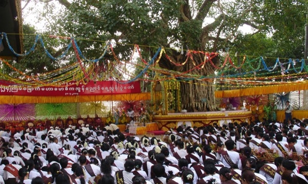 Lễ tưới cây bồ đề vào ngày Phật Đản tại Myanmar