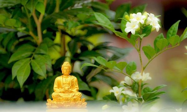 Vấn đề 'giải thoát' trong đạo Phật