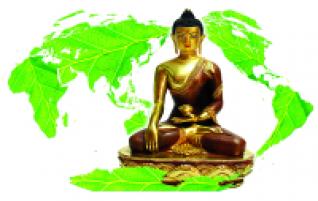 Phật giáo đóng góp vào việc bảo vệ môi trường sống
