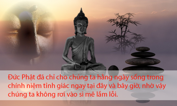 8 điều tôn kính Phật