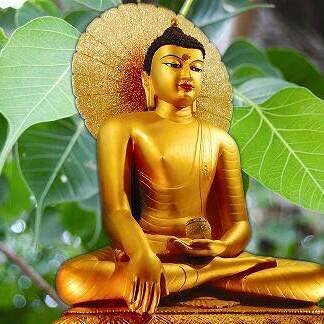 Phật dạy Chánh tư duy thẩm thấu kiếp nhân sinh