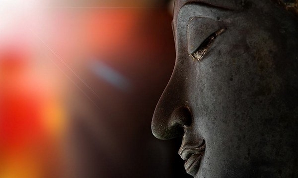 Giọt lệ của Phật