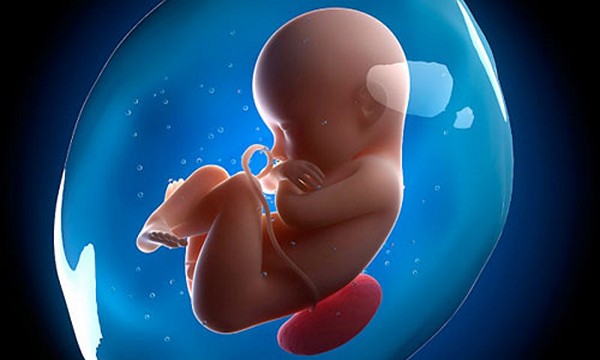 Phá bỏ thai nhi bị dị tật có chịu quả báo nghiệp tội không?