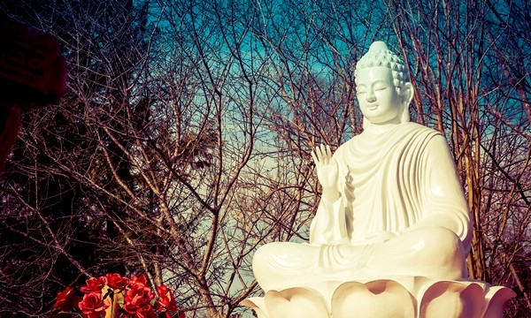 Phật pháp căn bản: Nhân quả nghiệp báo