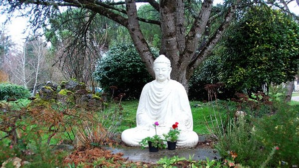 Phật trong nhà, Phật ngoài vườn