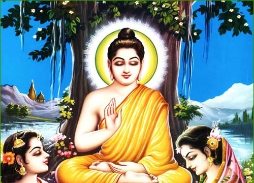 Lời Phật dạy về sự đoạn nhục thực    