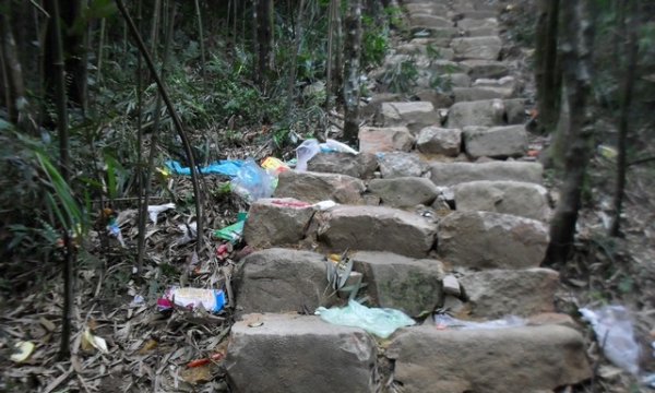 Hành hương về Am Ngọa Vân: Hãy bảo vệ rừng trúc, trước sự tấn công của rác