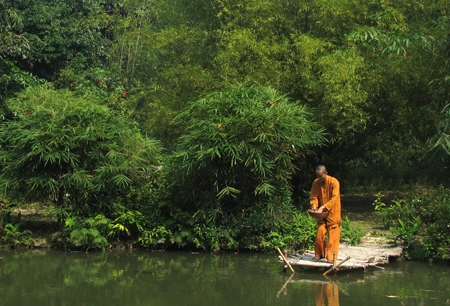  Nhà sư và rừng tre trúc Việt