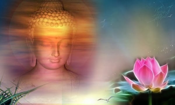 Ý nghĩa của hoa sen trong Đạo Phật