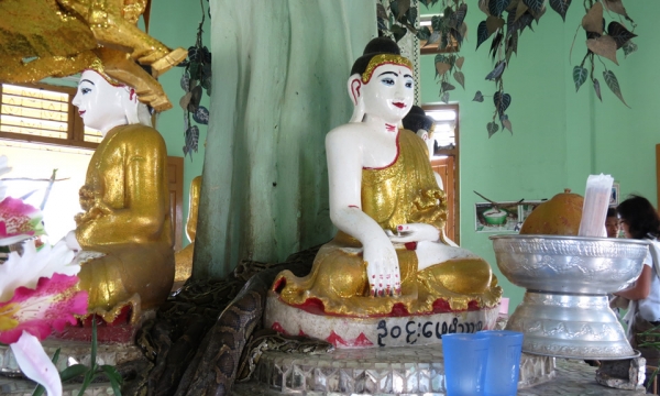 Ngôi chùa kỳ lạ ở Myanmar: Nuôi trăn thách thức du khách