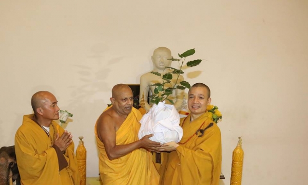 Câu chuyện cây bồ đề thiêng từ đất Phật ở chùa Tam Chúc