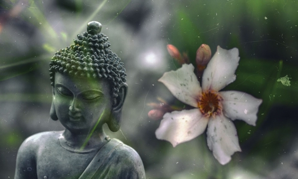 Tổng hợp những lời dạy của Đức Phật hay và ý nghĩa