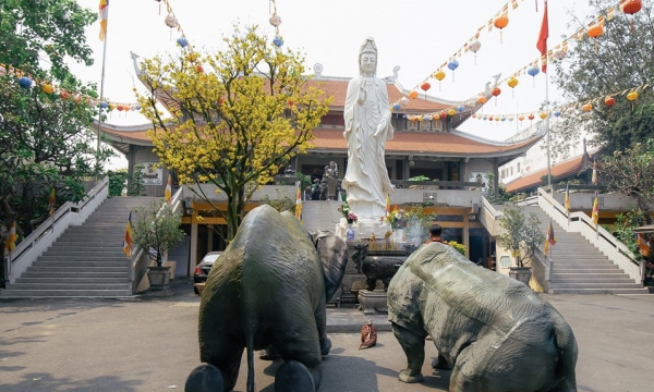 Mô hình tê giác bị mất sừng quỳ trước tượng Phật ở chùa Vĩnh Nghiêm