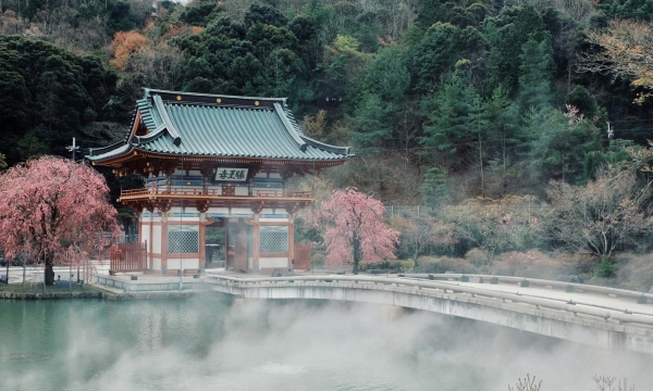 Ngôi chùa chứa hàng nghìn búp bê Daruma tại Nhật Bản