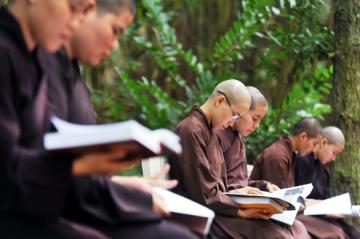 Phật học & văn hóa: Nghĩ về phương pháp