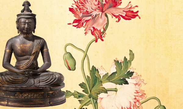 Lời di huấn tràn đầy Từ bi của Đức Phật