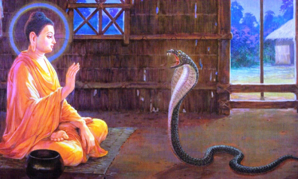 Đức Phật sử dụng thần thông, phép lạ như thế nào