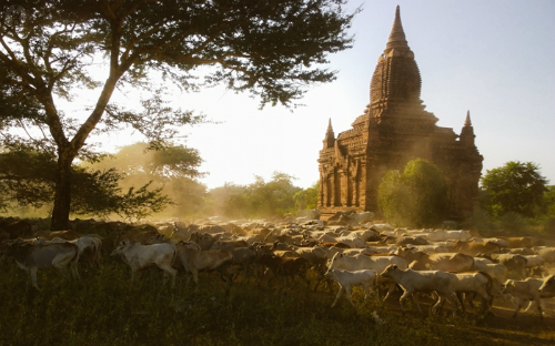 Tết Dương lịch khám phá 10 ngôi đền Phật Giáo đẹp đến ngỡ ngàng ở Bagan, Myanmar