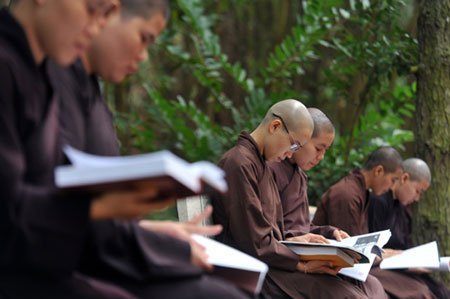 Phật giáo, văn hóa, giáo dục, môi trường và môi sinh
