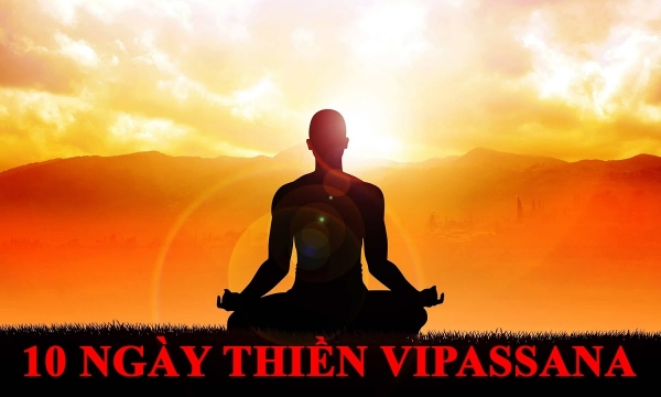 Thiền Vipassana: Nghệ thuật kìm chế và xử lý bất an