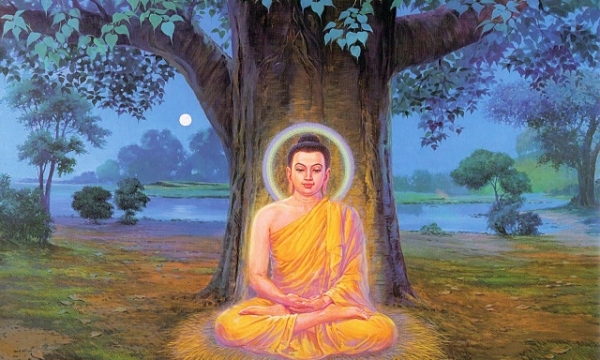 Đức Phật đã trải qua vô lượng kiếp tu hạnh Bồ Tát dưới tiền thân là bò Lohita như thế nào?