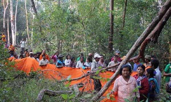 Tăng sĩ Phật giáo Campuchia tổ chức Lễ Quy y cho cây cổ thụ để bảo vệ rừng