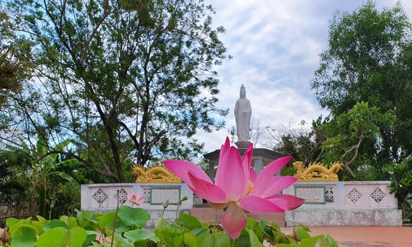 Đăng ký khóa tu mùa hè 2019 tại chùa Sắc Tứ Kim Sơn