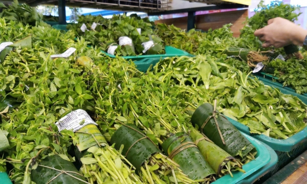 Các siêu thị, chợ ở Huế đã dùng lá chuối , túi giấy... để hạn chế túi ni lông