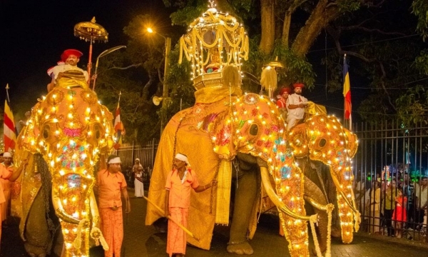Tưng bừng lễ rước răng Phật lớn nhất trên đường phố Sri Lanka