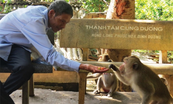 Ngôi chùa có đàn khỉ hoang dã nhiều nhất Việt Nam