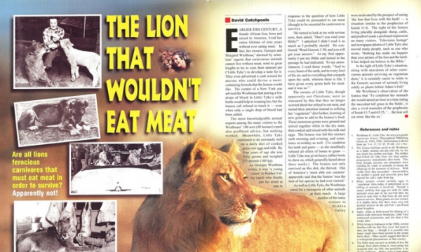 Câu chuyện về chú sư tử ăn chay và sống thân thiện với muôn loài