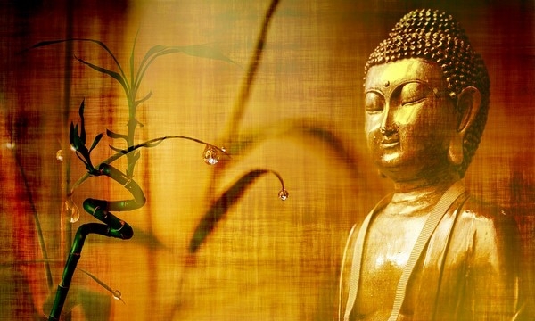 Chuyển hóa nỗi đau phản bội theo lời Phật dạy