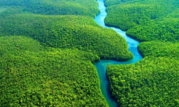 Điều gì sẽ xảy ra nếu rừng Amazon bị cháy rụi hoàn toàn?