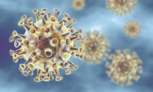 Australia đạt thêm tiến triển mới trong nghiên cứu virus corona