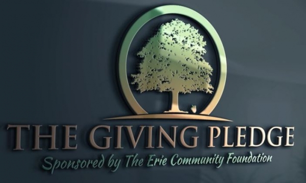 The Giving Pledge, Quỹ từ thiện của toàn cầu