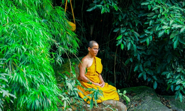 Thiền định Phật giáo và khoa sinh học