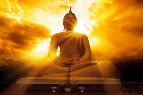 Lời Phật dạy về lòng từ bi và sự sống muôn loài
