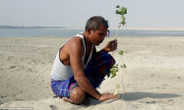 Người đàn ông một mình trồng cả cánh rừng trong 40 năm