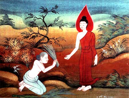 Cỏ Kusa và ý nghĩa thiêng liêng đối với người con Phật