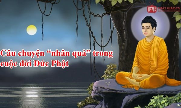 Đức Phật và câu chuyện nhân quả