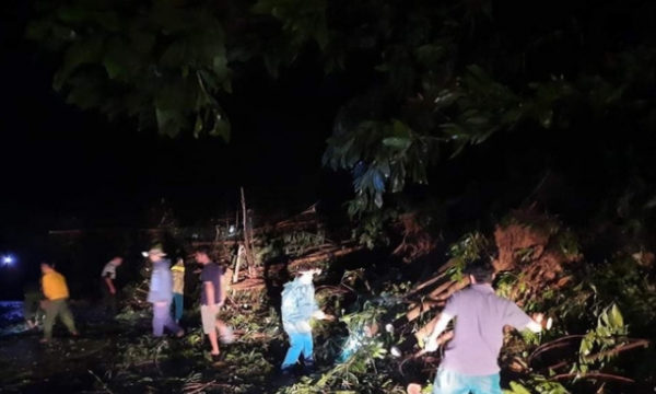 Sạt lở tại Quảng Nam khiến hơn 50 người bị vùi lấp: Tìm thấy 16 thi thể
