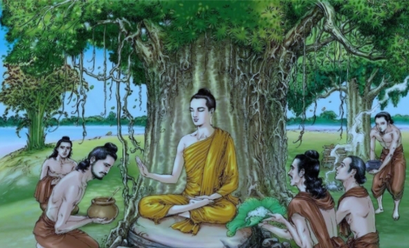 Người ngu và người trí theo quan điểm của Đức Phật