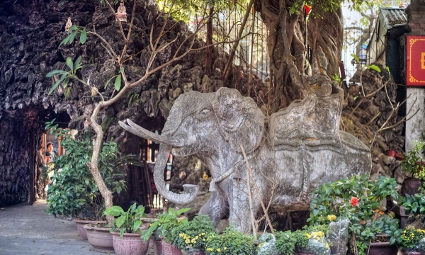 Ngôi chùa gắn với đàn voi chiến của Hà Nội xưa