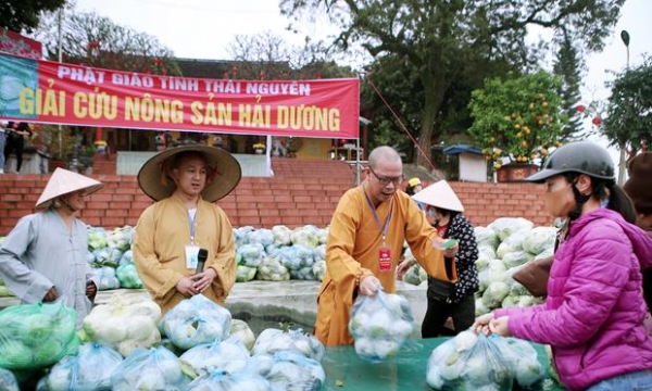 Phật giáo tỉnh Thái Nguyên chung tay giải cứu nông sản tỉnh Hải Dương
