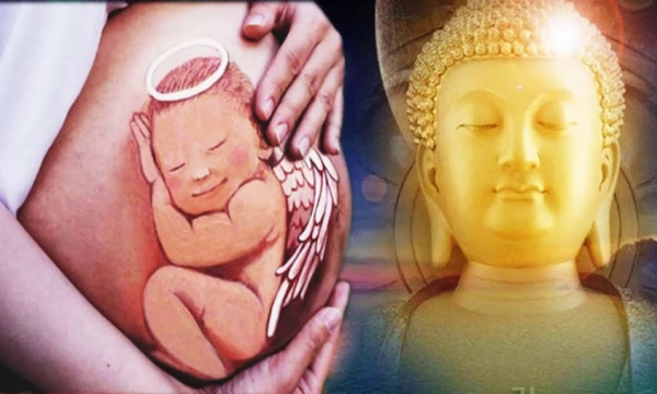 Mầm sống thai nhi theo quan điểm Phật giáo