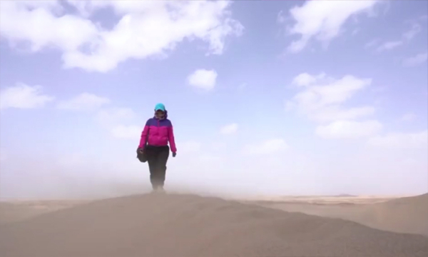 Người phụ nữ dành 16 năm phủ xanh sa mạc