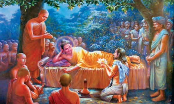Người thầy thuốc của Đức Phật