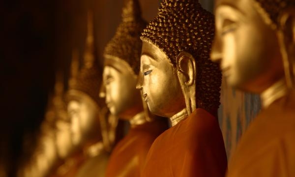 Tàm và quý – nền tảng giới luật Phật giáo